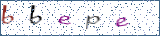 Type the letters shown in the picture