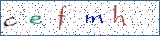 Type the letters shown in the picture