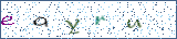 Type the letters shown in the picture