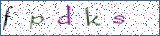 Type the letters shown in the picture