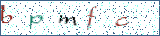 Type the letters shown in the picture