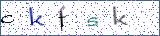 Type the letters shown in the picture