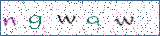Type the letters shown in the picture