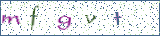 Type the letters shown in the picture