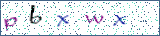 Type the letters shown in the picture