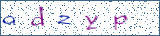 Type the letters shown in the picture