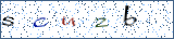 Type the letters shown in the picture