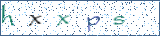 Type the letters shown in the picture