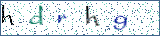 Type the letters shown in the picture