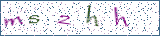 Type the letters shown in the picture