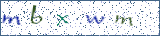 Type the letters shown in the picture