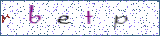 Type the letters shown in the picture