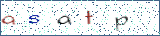 Type the letters shown in the picture