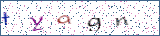 Type the letters shown in the picture