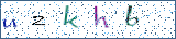 Type the letters shown in the picture