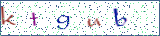 Type the letters shown in the picture