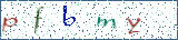 Type the letters shown in the picture