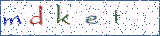 Type the letters shown in the picture