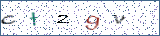 Type the letters shown in the picture