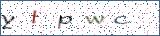 Type the letters shown in the picture