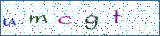 Type the letters shown in the picture