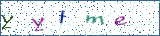 Type the letters shown in the picture