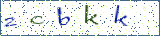 Type the letters shown in the picture