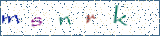 Type the letters shown in the picture
