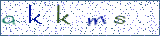 Type the letters shown in the picture