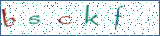Type the letters shown in the picture