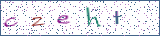 Type the letters shown in the picture
