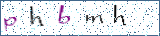 Type the letters shown in the picture