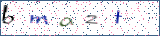 Type the letters shown in the picture