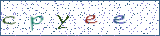 Type the letters shown in the picture