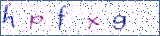 Type the letters shown in the picture
