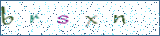 Type the letters shown in the picture