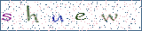 Type the letters shown in the picture