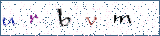 Type the letters shown in the picture
