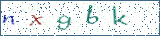 Type the letters shown in the picture