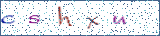 Type the letters shown in the picture