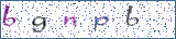 Type the letters shown in the picture