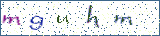 Type the letters shown in the picture