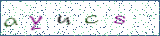 Type the letters shown in the picture
