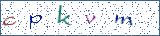 Type the letters shown in the picture