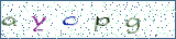 Type the letters shown in the picture