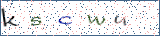 Type the letters shown in the picture