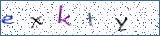Type the letters shown in the picture