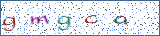 Type the letters shown in the picture