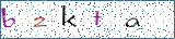 Type the letters shown in the picture