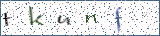 Type the letters shown in the picture